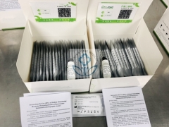 β-HCG Test Kit 20Tests/Box