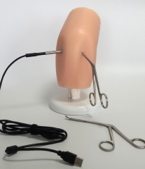 Simulador de artroscopio, modelo de rodilla