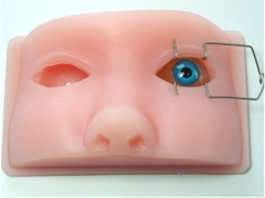 Simulador de entrenamiento de microcirugía de oftalmología, microscopio, instrumentos y modelo facial de silicona