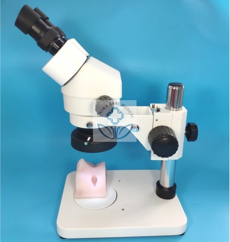 Simulador de entrenamiento de microcirugía de oftalmología, microscopio, instrumentos y modelo facial de silicona